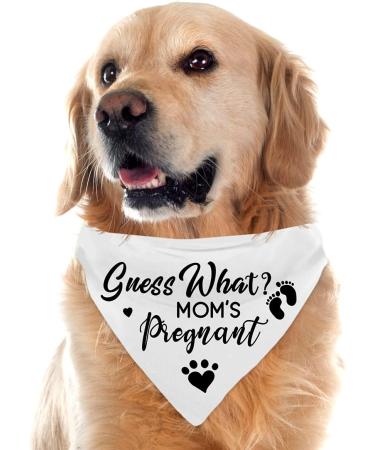 Pregnancy Announcement Dog Bandana Set for Dog Lovers - Gender Reveal Photo Prop and Pet Scarf Decorations - Pack of 2 - Buy Online on SooperMarket.com
