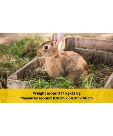 Shorefields Fresh Meadow Hay - Animal Feeding Hay Bale for Rabbits Guinea Pig Horses Hamsters Ponies - Nutritious Grasses & Wildflowers Blend - Green & Dust Free - Buy Online on SooperMarket.com