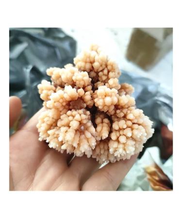 Rare Natural Raw Quartz Crystal Cluster Stones Crystal Point Specimen Home Decoration Raw Crystals Beautiful Gift (Size : 40-70g)