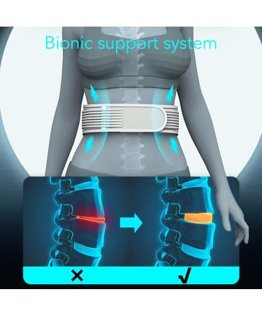 Buy Breathable Ergonomic Lumbar Support Belt | Elastic Waist Protection for Lower Back Pain Relief | Sports & Personal Care - Buy Online on SooperMarket.com