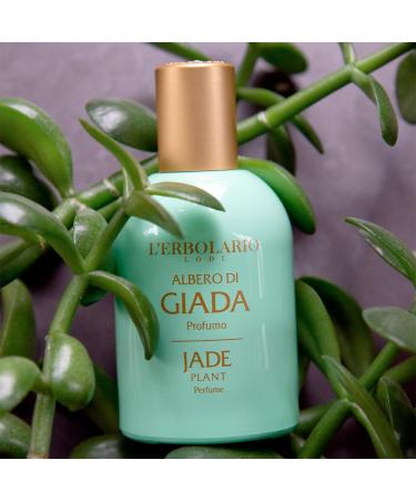 L'Erbolario Jade Plant - Notes Of Bergamot Jade Flower And Lemon - Floral Fragrance For Women - Reflects Radiance - Offers Charm And Positive Energy - Long Lasting Wear - 1.6 Oz EDP Spray - Buy Online on SooperMarket.com