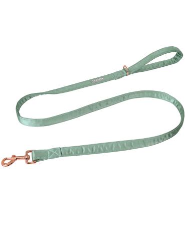 Lionet paws dog leash - silk leash for small medium -sized dogs suitable collar for girls and boys xs leash (1 Pack) grassy
