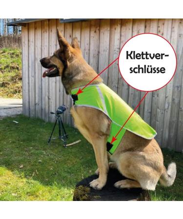 Reflective Dog Warning Vest - Safety Jacket with Lining Fabric | Robust Sizes in Neon Green for Enhanced Visibility - Buy Online on SooperMarket.com