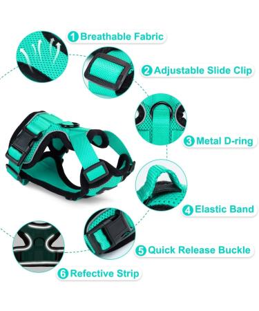 Breakproof Cat Leash Set & Adjustable Soft Kitten Vest with Reflective Stripes - Green Small Cat Dishes for Kittens - Buy Online on SooperMarket.com