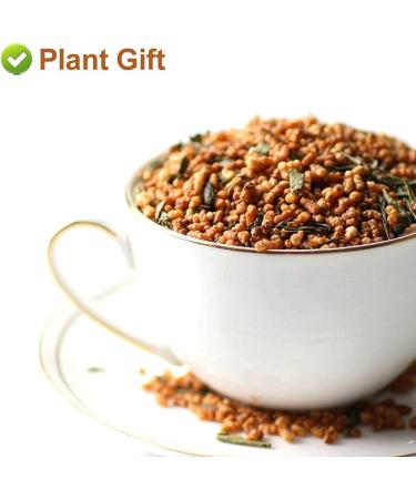 Flower 2 (170G-Genmaicha Tea) - Buy Online on SooperMarket.com