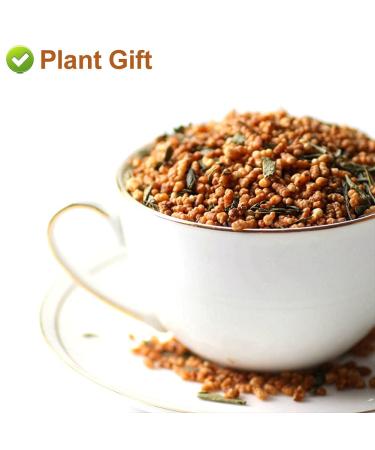 Buy Organic Green Tea - Loose Leaf Japanese Genmaicha 170g | Premium Black Rice & Matcha Blend - Buy Online on SooperMarket.com