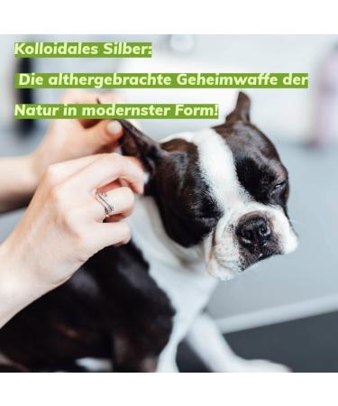 Traumapet 2x Ear Drops Colloidal Silver for Dogs & Cats - 2x 50ml Ear Cleaner Benefit Pack - Buy Online on SooperMarket.com