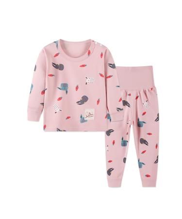 YANWANG 100% Cotton Baby Boys Girls Pajamas Set Long Sleeve Sleepwear(6M-5Years) 3-4 Years Pink-rabbit