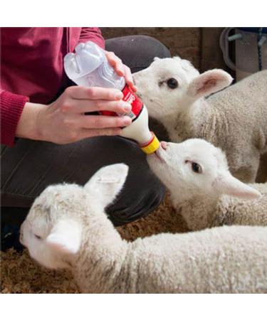 Soft Rubber Milk Drinking Nipples for Small Animals - 15Pcs Goat Bottles Nipples - Buy Online on SooperMarket.com