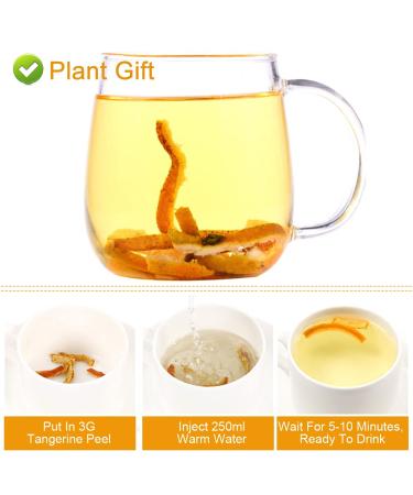 Buy Tangerine Peel Tea 80g - Dried Orange Peel Herbal Tea Rich in Antioxidants & Vitamin C | International Shipping - Buy Online on SooperMarket.com