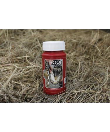 Kevin Bacon s Hoof Solution 150G | All Horse Types | Integrated Brush for Fast Application | Reduces Hoof Problems - Buy Online on SooperMarket.com