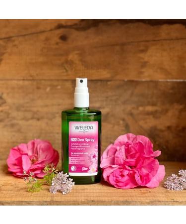 Weleda Wild Rose Deodorant 100 ml Fresh 100 ml (Pack of 1) - Buy Online on SooperMarket.com