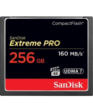 SanDisk Extreme Pro 256 GB CompactFlash