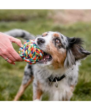 Nobby Colorful Rope Toy Ball 10 cm - Durable & Fun Multicolored Design for Dogs - International Shipping Available - Buy Online on SooperMarket.com