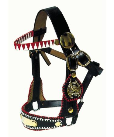 AMKA decorative halter show bridle driving halter with brass fittings COB