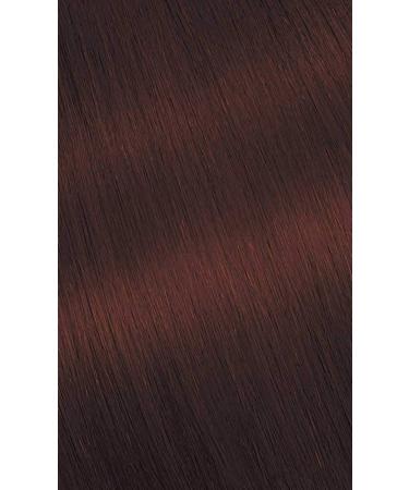 Buy #76 Copper Brown Bigen Permanent Powder - 3 Pack | Long-Lasting Hair Color for International Shipping - Buy Online on SooperMarket.com