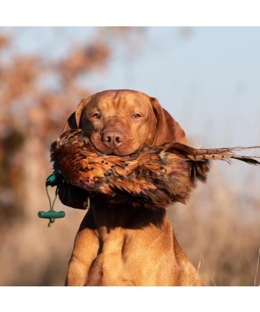 Romneys Pheasant Dummy 500g | Real Plumage & Feather Training Dummy for Hunting Dogs | Floatable Wild Dummy - Buy Online on SooperMarket.com