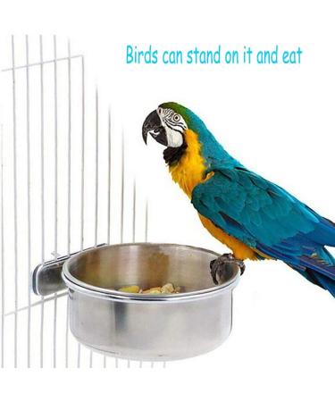 PINVNBY Stainless Steel Parrot Feeding Cups - Pack of 2 | Bird Food Dish with Clamp Holder for Cockatiel Conure Budgies Parakeet Macaw Chinchilla - Buy Online on SooperMarket.com