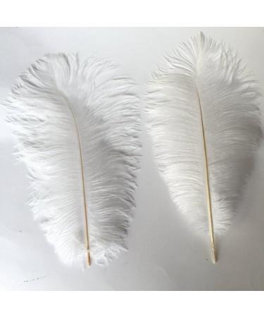 Shekyeon 12-14 inch Ostrich Feathers Pack of 10 - White Wedding Centerpiece Plumes - Buy Online on SooperMarket.com
