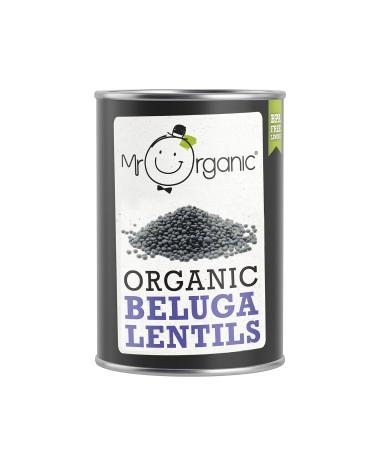 Mr Organic - Organic Beluga Lentils 400g - Non GMO & Preservative Free - Vegan - for Home Cooking