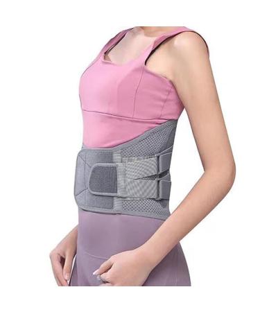 Back Support Belt Breathable Steel Plate Lumbar Support Brace for Lower Back Herniated Disc Back Brace Belt Lumbar Plate Support Lumbar Support Bracket - Buy Online on SooperMarket.com