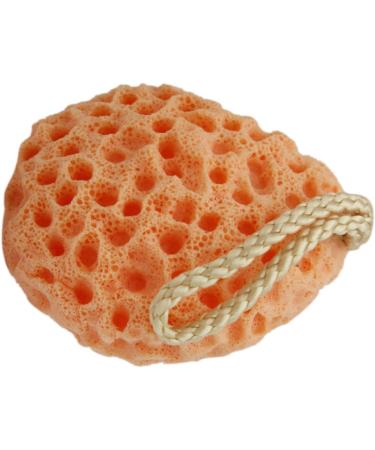 Cabilock Face Exfoliator Sponge Body Cleansing Sponge Exfoliating Bath Sponge Remover Dead Skin Facial Exfoliator Sponge Loofah Sponge Fruit Bath Sponge Bath Shower Dish Spa Miss Body Brush - Buy Online on SooperMarket.com
