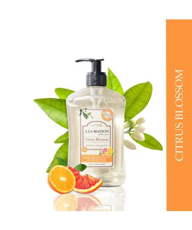 A La Maison de Provence Liquid Hand Soap - Citrus Blossom, 16.9 oz Pump Bottle, Natural & Moisturizing - Buy Online on SooperMarket.com