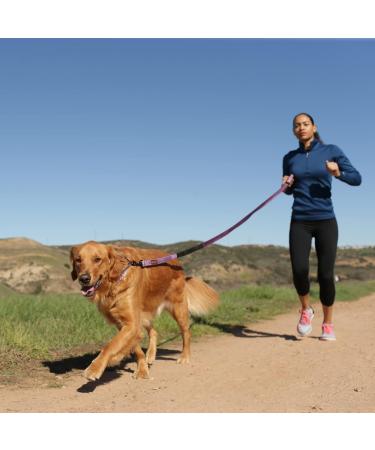 Halti Active Dog Leash with Neoprene Padding | 3m Reflective Shock Absorption Freehand Design for Running with Medium & Large Dogs - Size Large Black - Buy Online on SooperMarket.com