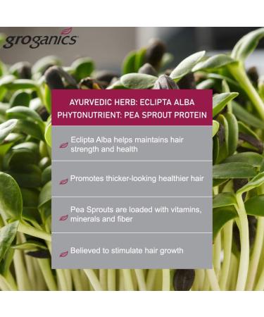 Groganics Molecuizing Root Lifter 118 ml - Buy Online on SooperMarket.com