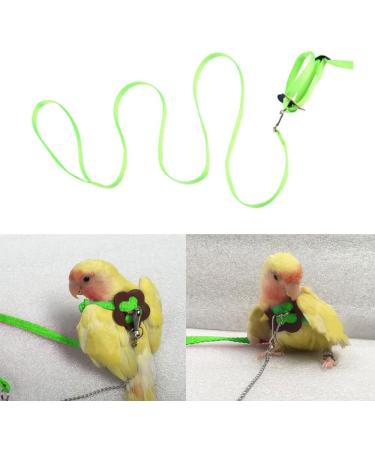 Adjustable Pet Parrot Bird Dishes & Anti-Bite Training Leash | Ideal for Outdoor Use - Buy Online on SooperMarket.com