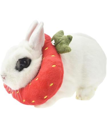 Buy Fladorepet Rabbit Protection Cone Elizabethan Neck Collars & Hasentoast Avocado Costume for Small Pets - Perfect for Recovery & Fun! - Buy Online on SooperMarket.com