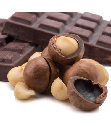 Oh! Nuts Oven Roasted Macadamia Nuts - Large-Sized, Unsalted, Gluten-Free Keto Snack | All-Natural, Additive-Free Healthy Nuts in Resealable Bag (1 lb) - Buy Online on SooperMarket.com