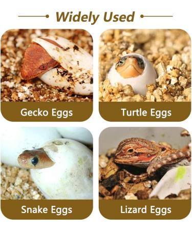16 Grids Reptile Breeder Box - Professional Plastic Breeding & Hatching Incubator for Reptiles - Ideal for Snakes, Lizards, Turtles, and Geckos - Includes Eggs Tray - 6.6 x 4.8 x 2.4 inches - Buy Online on SooperMarket.com