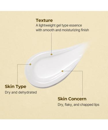 Torriden SOLID In Ceramide Lip Essence - 2 Pack Moisturizing Lip Balms with Organic Jojoba Oil & Ceramides for Glowy Plumped Lips - Korean Skin Care - Buy Online on SooperMarket.com