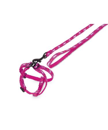 Nobby set nylon rabbit "Carrot" purple medium