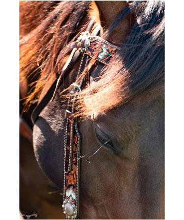 Circle Y Distressed Beaded Leather Browband Headstall - Walnut | Horse Bridle - Buy Online on SooperMarket.com