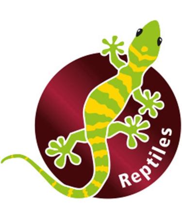Hobby Reptix Odor Killer - Effective Smell Neutralizer for Reptile Habitats | International Shipping Available - Buy Online on SooperMarket.com