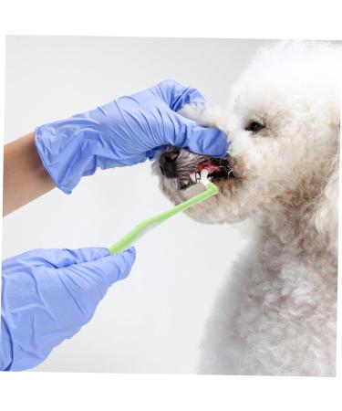 BELLIFFY 1pc Fine Fiber Plastic Cat Toothpaste Kitten Toothbrush Pet Supplies Pet Toothbrush - Buy Online on SooperMarket.com