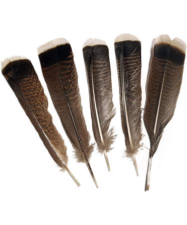 Grade A Natural Turkey Feathers 10-12inches - Pack of 10 for DIY Crafts & Clothing Decoration - Buy Online on SooperMarket.com