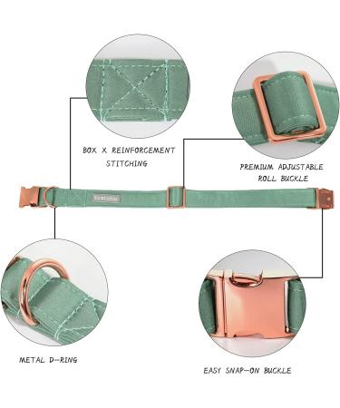 Shop Lionet Paw's Comfortable Silk Green Dog Collar with Removable Fly - XS for Puppies & Cats (20-30cm) - Ideal for International Shipping - Buy Online on SooperMarket.com