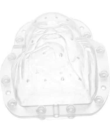 GANAZONO 2pcs Fruit Shaping Mold Fruit Shaping Tool Fruit Forming Mould Fruits Mold Stereotypes Ginseng Fruit - Buy Online on SooperMarket.com