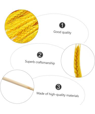 Zerodeko 100pcs Dried Wheat Ears Bouquet Decor Floral Arrangement Wheat Ear Desktop Wheat Ear Dried Flowers Bouquet Wheat Stalks Wedding Wheat Ear Flower Arrangement Dried Flowers. Barley Yellow 52X10CM - Buy Online on SooperMarket.com
