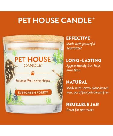 One for All Pet House Candle - Evergreen Forest | 100% Non-Toxic & Eco-Friendly Air Freshener | Remover for Home Odors - Buy Online on SooperMarket.com