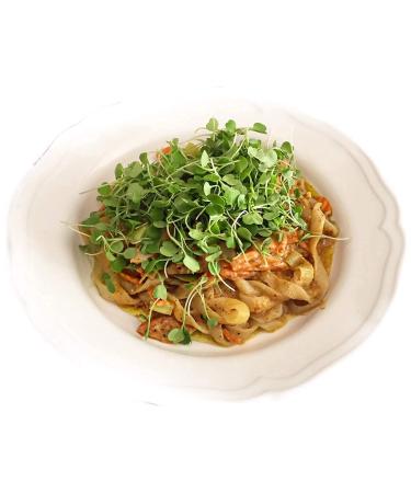 Miracle Noodle Fettuccine Shirataki Noodles  Ready To Eat Konjac Noodle - Keto Friendly  Paleo  Vegan  Gluten Free  Low Carb  Low Calorie  Soy Free  Miracle Noodles - 7 Ounce (Pack Of 6) - Buy Online on SooperMarket.com