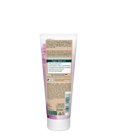 Kneipp Intensive Hand Cream - Extra Rich Shea Butter & Magnolia - 75ml (Pack of 2) | Shop Now for International Shipping - Buy Online on SooperMarket.com
