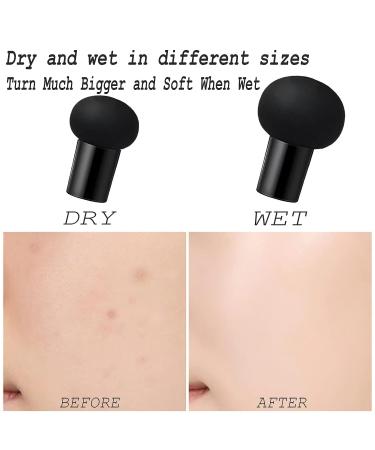 Sumeitang Mushroom Air Cushion CC Cream Liquid Foundation - Lasting Moisturizing BB Cream for Even Skin Tone - Ivory Shade - Buy Online on SooperMarket.com