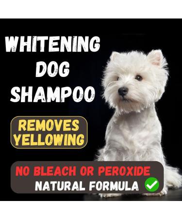 Kelebs Sensitive Dog Shampoo | Vegan Lavender & Oatmeal Soap | Natural Care for Puppies & Dogs | 3 Pack Charcoal - Buy Online on SooperMarket.com