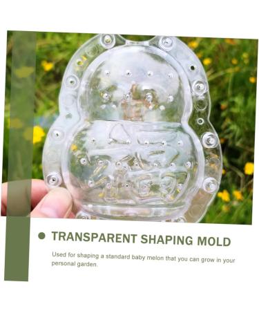 Anneome 2pcs Vegetable Shaping Mold Fruit Cucumber Shaping Molds Adorable Melon Mold Watermelon Pumpkin - Buy Online on SooperMarket.com