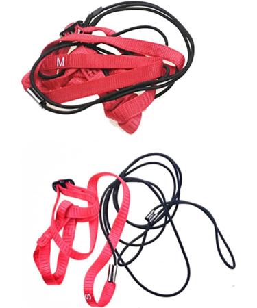 Premium Bird Leash & Dishes - Anti-Bite Flight Training Rope for Small Birds | Perfect for Nymphensittich & Outdoor Use - Buy Online on SooperMarket.com
