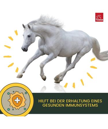 Buy Emma Linseed Oil for Horses & Pets - Cold-Pressed Omega 3 & 6 Fatty Acids for Shiny Fur & Digestion | 2x1L - Ideal for Dogs & Cats - Buy Online on SooperMarket.com